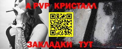 сатива Беслан
