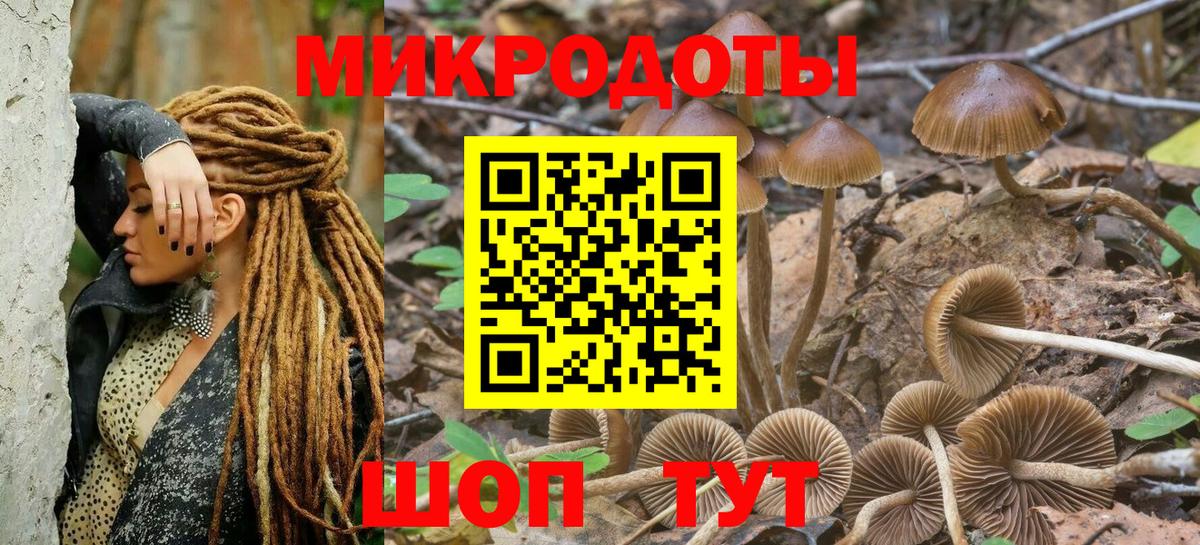Псилоцибиновые грибы ЛСД Камышлов